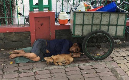 Nghẹn ngào hình ảnh chú chó nằm ngủ ngon lành bên người chủ trên vỉa hè sau những giờ mưu sinh vất vả