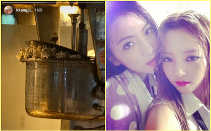 Từng cùng nhóm KARA nhưng trong lúc Goo Hara đang vướng scandal thì Kang Ji Young lại nổ bỏng ngô ăn mừng