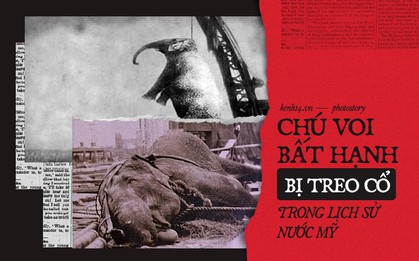 Câu chuyện chấn động thế giới: Chú voi trong rạp xiếc bị treo cổ vì giết người da trắng
