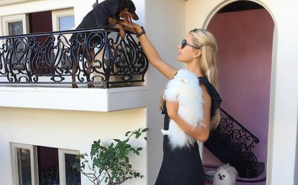 Những món đồ độc lạ mà sao Hollywood không tiếc tiền "đốt" vào: Từ biệt thự dành cho thú cưng đến răng giả bằng kim cương