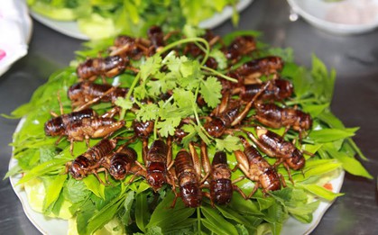 Ở vùng Long Khánh có một món đặc sản thử thách độ can đảm của nhiều người nhưng ai ăn xong cũng mắc ghiền
