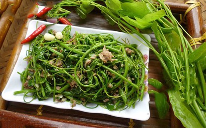 Rau bò khai - món ăn có tên nghe thấy "ngại" nhưng lại là đặc sản của nhiều tỉnh vùng núi phía Bắc