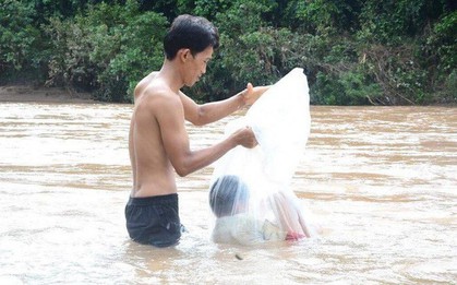 Chánh Văn phòng Sở GD-ĐT phải gỡ status viết "chuyện chui túi nilon đi khai giảng là bịa"