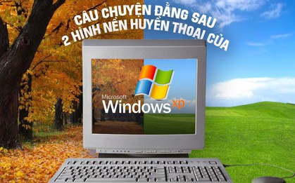 Câu chuyện trái ngang đằng sau 2 hình nền huyền thoại của Windows XP