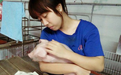 Câu chuyện nhỏ đáng yêu của nữ sinh sáng làm luận án, chiều nâng niu đàn lợn