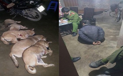 Bắt trộm gần 1 tạ chó bị người dân tóm gọn