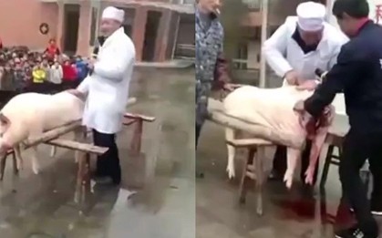 Ngang nhiên mổ lợn tại trường mẫu giáo, hiệu trưởng giải thích để mang không khí tết về cho các em nhỏ