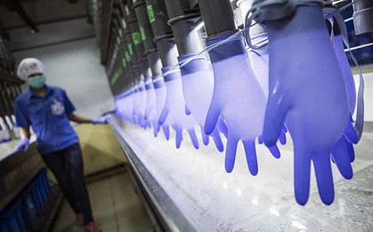 "Gã khổng lồ" sản xuất găng tay ở Malaysia bị cáo buộc sử dụng lao động cưỡng bức