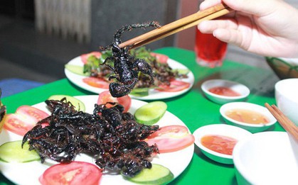 Đặc sản vùng Bảy Núi (An Giang) khiến nhiều người phải lấy hết can đảm mới dám nếm thử