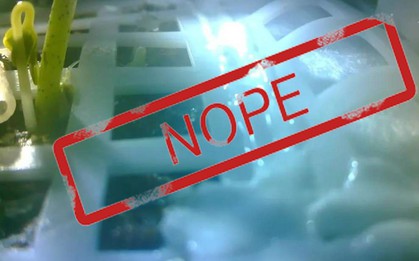 Chúng ta có một tin cực buồn về mầm cây đầu tiên mọc trên Mặt trăng của Trung Quốc