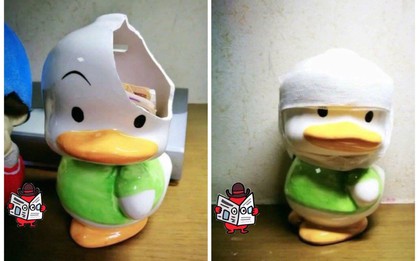 Chú vịt bị chủ đập “vỡ đầu” dịp gần Tết khiến dân tình vừa buồn cười vừa thấy thương