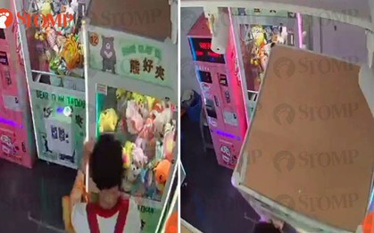 Thấy máy gắp thú nặng 200kg biến thành một đống hổ lốn, chủ tiệm kiểm tra camera và phát hiện sự thật gây phẫn nộ