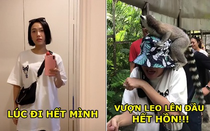 Cười ngất xỉu với clip Diệu Nhi đi vườn thú hậu đám cưới: “Em muốn khóc quá anh ơi, nó có cắn em không anh ơi?!”