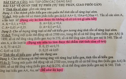 "Không làm được bài thì khỏi cô trò gì nữa" và loạt dòng chữ nhắn nhủ đầy dỗi hờn của cô giáo cho học sinh