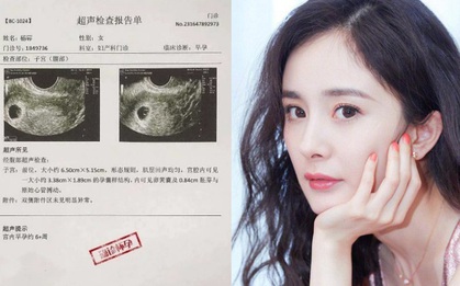 Vừa mới bị "tóm sống" cùng vào khách sạn, Dương Mịch đã bị nghi lộ tờ giấy khám mang thai với tình trẻ