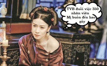 Thực hư tin đồn TVB sa thải cả nghìn nhân viên: 350 người bỗng dưng mất việc, Xa Thi Mạn liệu có được yên thân?