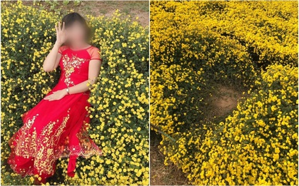 Hình ảnh cô gái nằm ngả ngớn thẳng luống hoa cúc để chụp ảnh khiến dân mạng "nóng mắt": Duyên đến thế là cùng!