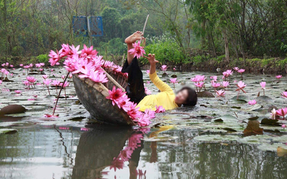 Mặc áo dài chèo thuyền chụp hoa súng và cú ngã lộn nhào như "múa ba lê" của người phụ nữ khiến dân mạng dở khóc dở cười