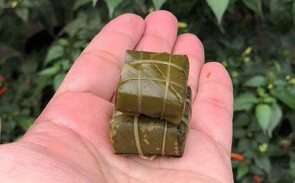 Thịt lợn đắt “cắt cổ”, dân mạng truyền tay những mẫu bánh chưng thay thế cho Tết 2020, vừa đỡ tốn kém lại còn giảm cân