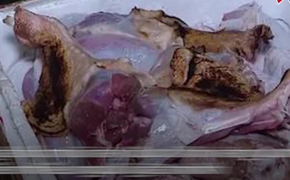 Một tấn gà tây thối, 10 tấn lòng lợn bốc mùi... vào tiệc tất niên