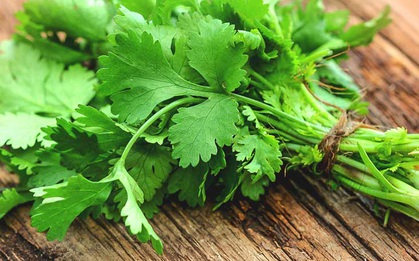 3 điều tối kỵ khi ăn rau mùi bạn cần hạn chế ăn nếu không muốn mắc bệnh ung thư