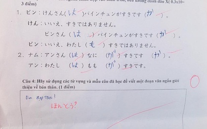 Bảo học trò dùng từ vựng đã học để miêu tả về bản thân, cô giáo "giận tím người" khi nhận câu trả lời rất tỉnh: "Em đẹp trai"