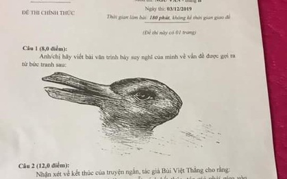 Đề thi học sinh giỏi Văn chỉ có hình nửa thỏ nửa vịt yêu cầu học sinh phân tích, trình bày suy nghĩ để được 8 điểm!