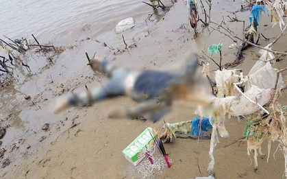 Thanh Hóa: Phát hiện thi thể phụ nữ đang phân huỷ mang theo tiền ngoại tệ trôi dạt vào bờ biển