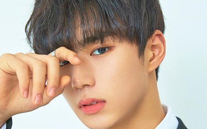 Cư dân mạng khuyên 9 chàng trai 1THE9 nên tham gia "Produce" mùa 4!