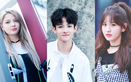 Đây là 3 idol “con lai” tài sắc vẹn toàn nhưng mãi chưa thành công của Kpop