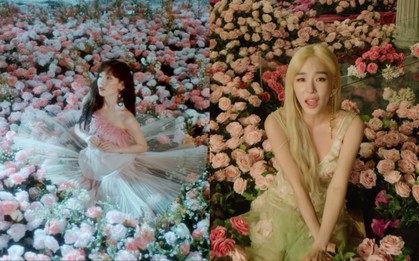 MV mới của Tiffany Young khá giống sản phẩm cũ của Taeyeon, fan đoán ngụ ý đằng sau là gì?
