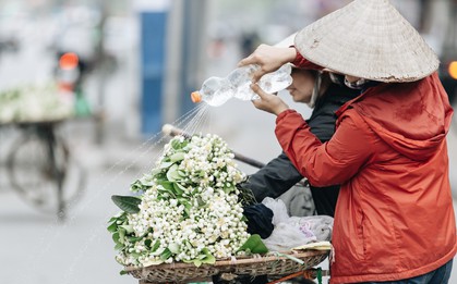 Hoa bưởi tháng 2 theo gió xuống phố Hà Nội, giá lên đến 300.000 đồng/kg vẫn cháy hàng