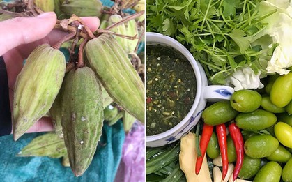 Từ một loại quả chẳng ai ăn, người Tây Bắc lại chế ra món gây sốt cả Hà Nội