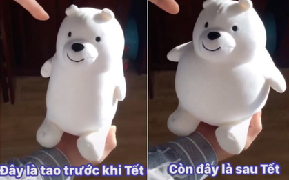 Tết sướng vui gì chưa thấy, đã thấy tương lai tăng cân mất kiểm soát qua chú gấu Bắc Cực "tiên tri"