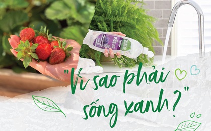 Đã đến lúc chúng ta thực sự “làm bạn với thiên nhiên”, không chỉ dừng lại ở lời nói!