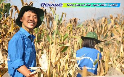 Bạn thay đổi như thế nào sau những chuyến đi của một năm qua?