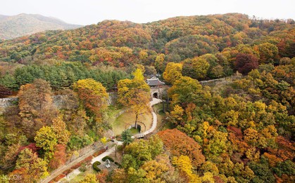 Gyeonggi - Chân trời du học lý tưởng tại Hàn Quốc