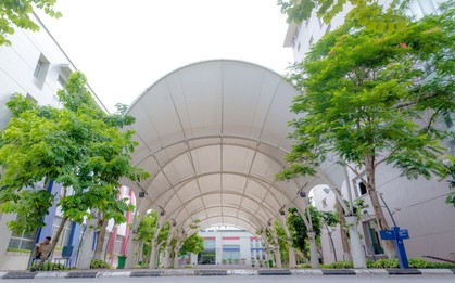 Lạc vào khung cảnh thơ mộng của trường Đại học Thăng Long