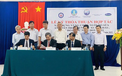 Xây dựng vùng chăn nuôi bò sữa an toàn dịch bệnh được quốc tế công nhận tại Tây Ninh