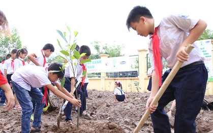 Vinamilk chung tay bảo vệ môi trường Thủ đô thông qua quỹ 1 triệu cây xanh cho Việt Nam