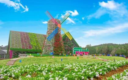 Lạc lối tại chuỗi khách sạn, khu du lịch ở Fresh Dalat