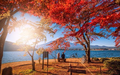Ưu đãi giá tour đến 10 triệu đồng tại hội chợ ITE 2019