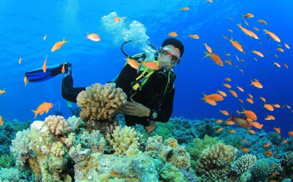 Một mình du lịch khắp Nha Trang ngày độc thân: Ai nói có người yêu mới đi được chỗ này chỗ kia!