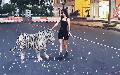 Giắt túi ngàn like với bí kíp check in cùng soái hổ 4D thời thượng