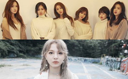 Nhìn những gì MBK làm với T-ARA hay Shannon, bảo sao ai cũng khuyên nghệ sĩ tìm cách “chạy ngay đi”!