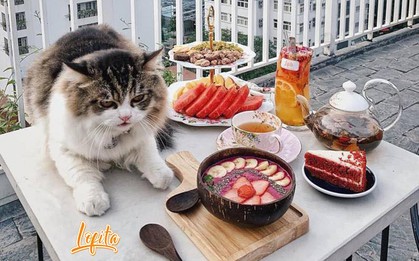 4 quán cafe không thể bỏ qua khi tới Hà Nội