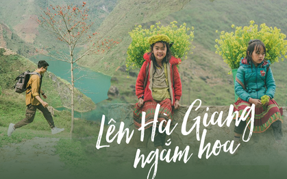 Bí kíp săn hoa ở Hà Giang chỉ mất 2 ngày và 1,5 triệu đồng: Đảm bảo vẫn vui hết nấc và đi được đủ nơi!