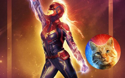 Review cực ngắn "Captain Marvel": "Boss" Goose chiếm sóng, đáng yêu át phần thiên hạ