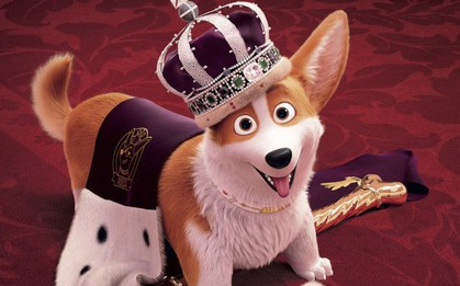 5 bộ phim về những chú boss mà ai xem xong cũng muốn đầu thai làm... cún