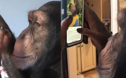 Video "tinh tinh dùng Instagram" đang gây bão: Sự thật phía sau có thể khác hoàn toàn